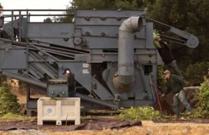 En el país vinícola de California, Hops pasa un momento