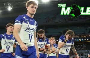 NRL News 2025 | La revisión de la temporada de Taupe End para Bulldogs de Canterbury, que salió mal después de la firma de Lachlan Galvin