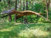 New Discovery ofrece a los científicos una visión general rara de cómo los pterosaurios han vivido y muerto