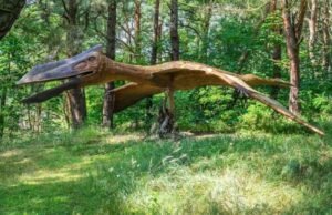 New Discovery ofrece a los científicos una visión general rara de cómo los pterosaurios han vivido y muerto