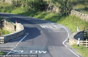 ¿Puedes ver la campana? No … no más que conductores: el extraño bollard anti-crrash del consejo … es “causar accidentes”