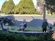 Momento impactante de adolescentes, chicos amigables llamados Bucket desde su patio delantero: ‘Este es mi gato ahora’