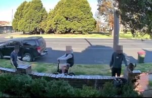 Momento impactante de adolescentes, chicos amigables llamados Bucket desde su patio delantero: ‘Este es mi gato ahora’