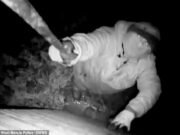 El momento de la pandilla del crimen rural robó 10 millones en equipos agrícolas: antes de ser capturado en ataques dramáticos