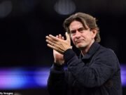 Wayne Rooney y la disminución de Berbatov se dividieron sobre el controvertido desafío de Van Micky Van, como el esclavista de Tottenham Villarreal, pero ¿debería Spurs Star haber visto rojo?