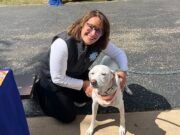 Fotos disparadas en la Casa del Legislador de Illinois en un ataque “profundamente preocupante” por la mañana