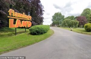 El hombre de los años treinta es transportado con urgencia al hospital después de ser apuñalado en el parque temático británico: cuatro órdenes