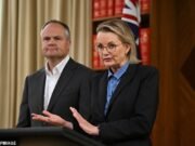 Cómo los contribuyentes australianos aterrizan $ 50,000 cada minuto para servir intereses a nuestra deuda nacional de la pelota, y qué podríamos comprar en su lugar