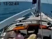 La sorprendente forma de que los marineros lucharon por Orcas atacando su bote, mientras que las nuevas imágenes aterradoras muestran que los barcos se liberan en Portugal, antes de los asesinos.