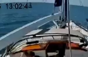 La sorprendente forma de que los marineros lucharon por Orcas atacando su bote, mientras que las nuevas imágenes aterradoras muestran que los barcos se liberan en Portugal, antes de los asesinos.