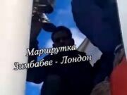 ¿Estás mirando, Keir? Furious Truck Driver obliga a las fuerzas a cuatro migrantes responsables de su camión por el Reino Unido después de haberlos atrapado en su remolque (¡una política más que la política de Starmer en un esquema no se resistió!)