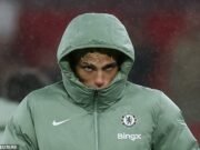 Los fanáticos de Man United están apuntando a una canción brutal en Alejandro Garnacho a su regreso a Old Trafford, mientras que Amad Diallo limpia su cuenta de Instagram después de compartir una foto con su ex compañero de equipo