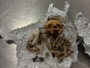 El viajero encontrado con “restos humanos” en la bolsa le dijo al personal del aeropuerto que eran para “rituales”