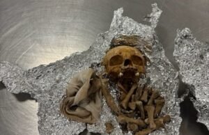 El viajero encontrado con “restos humanos” en la bolsa le dijo al personal del aeropuerto que eran para “rituales”