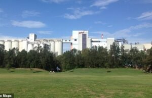 Kellogg’s es sentenciado a una multa de más de $ 500,000 por un horrible accidente en la fábrica australiana