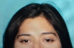 Trio de influenciadores anti-hielo acusados de caza de agentes locales y doxxer en Instagram