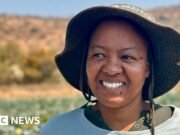 Los expertos tienen la intención de cerrar la brecha del idioma