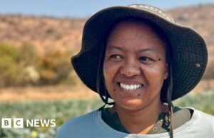 Los expertos tienen la intención de cerrar la brecha del idioma