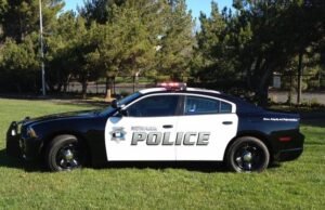 Dos asesinados en un accidente de tráfico de Newark el jueves por la noche – The Mercury News