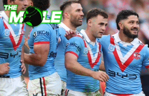 Justin Holbrook para entrenar a los Caballeros de Newcastle, la posición de Sandon Smith en Mallas, guerreros fumando sobre el movimiento de Dragones de San Jorge Illawarra.