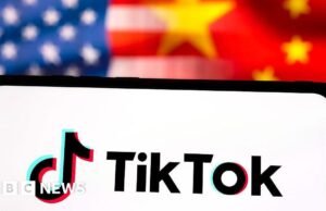 ¿Quién tendrá la aplicación y cómo funcionará?