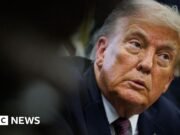 Tiktok se quedará en los Estados Unidos, ya que Donald Trump dice que se ha hecho el acuerdo