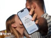 ¿Por qué tienes uno de los gobiernos más digitales?