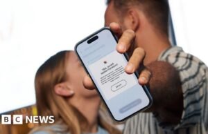 ¿Por qué tienes uno de los gobiernos más digitales?