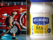 Ofrezca a Hellmann para pagarle al propietario del café por reparaciones después del incendio criminal del cliente que no obtuvo mayonesa