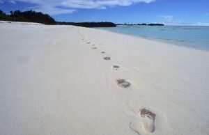 Por qué el destino de una pequeña isla podría decidir el próximo presidente de Seychelles