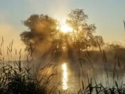 Celebrity lanza First River Cruises en 2027 con nuevos barcos de lujo