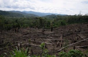 Mientras que los “ríos voladores” de Amazon se debilitan con la pérdida de árboles, los científicos advierten contra las sequías de agravación