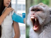 La niña de 12 años en un mono de vacaciones familiares recibe una vacuna contra la rabia urgente