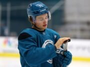 La reconstrucción de los tiburones de San José debe dar fruto