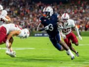 Bucles de defensa cardinal en erupción