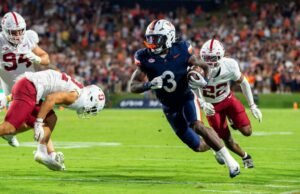 Bucles de defensa cardinal en erupción