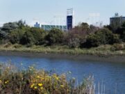 Oakland Coliseum bombeando agua subterránea en la bahía durante años, sin licencia