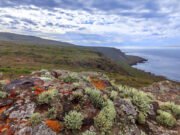 El hombre de California declara ser culpable de un avión de aterrizaje en la isla restringida de la Marina, dos veces – Mercury News