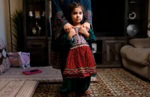 Mahmood Habibi todavía está detenido