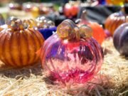 Calendario de eventos en la región de la Bahía para ediciones semanales del 26 de septiembre