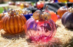 Calendario de eventos en la región de la Bahía para ediciones semanales del 26 de septiembre