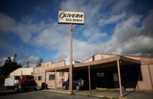 La familia cosecha millones con la venta de San José Egg Ranch desde hace mucho tiempo