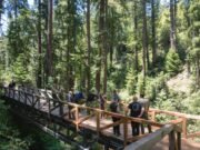 Gran sendero popular en la cascada reabrida después de estar cerrado por dos años