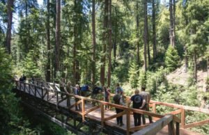 Gran sendero popular en la cascada reabrida después de estar cerrado por dos años