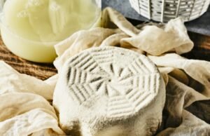 Receta de ricotta de planta: hágalo usted mismo