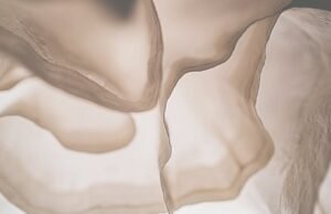 “ Silence of the Looms ” revive la historia de la muselina en el mercado del proyecto Busan