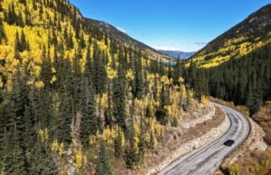 En medio de la invasión de las hojas, la ciudad de Colorado está cerrada a los no residentes: las noticias de Mercury