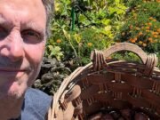 Estrellas: ¡son como nosotros!