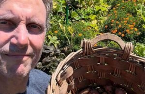 Estrellas: ¡son como nosotros!