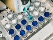 ¿Podría el aluminio convertirse en el ‘campeón’ del empaque?